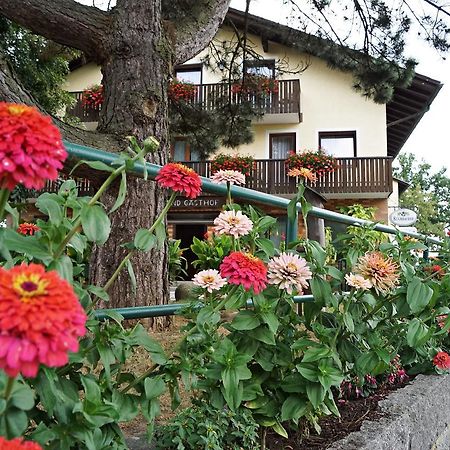 Hotel-Landgasthof Henghuber 로츠 외부 사진